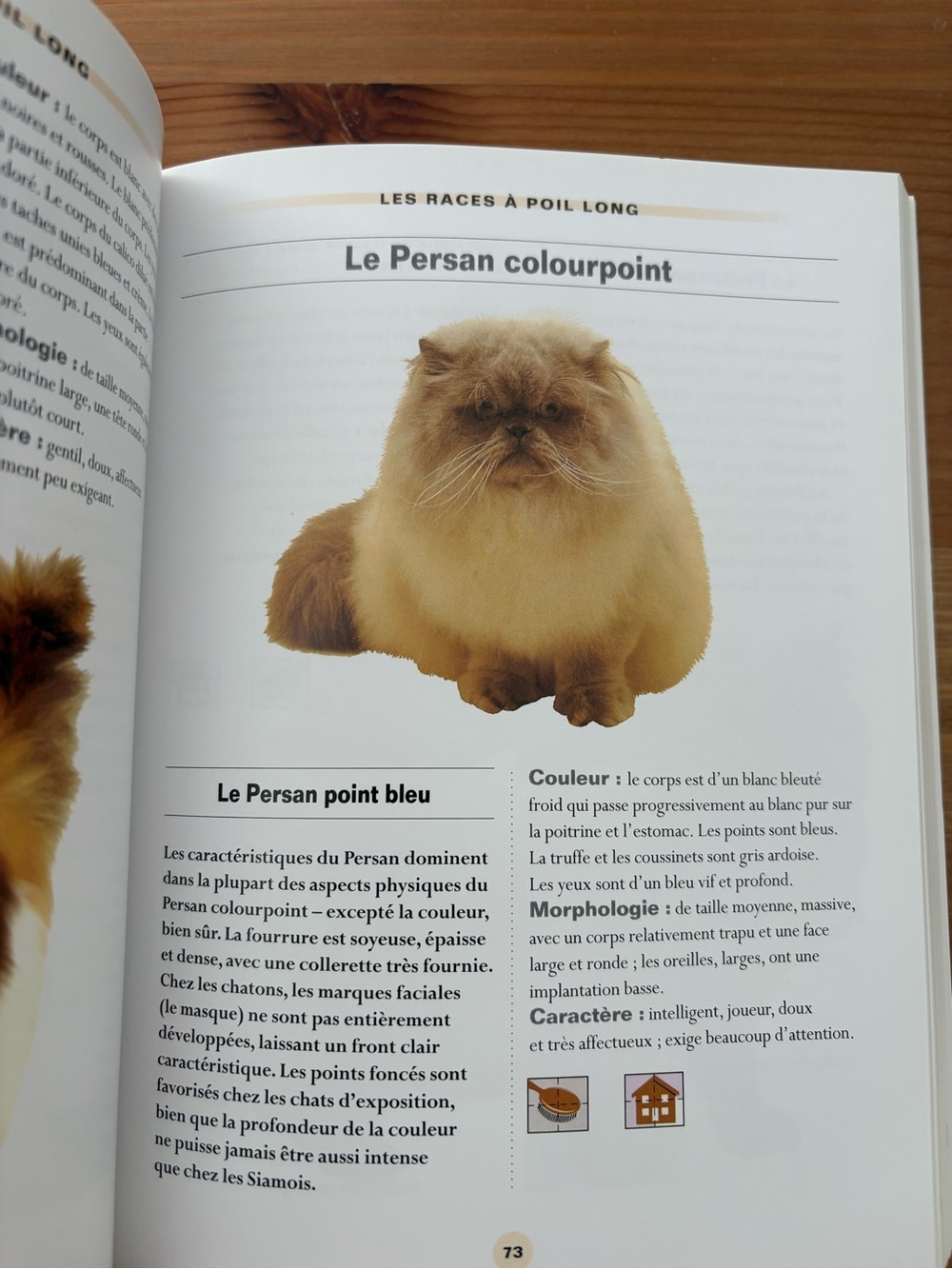Les Races de Chats - Guide d'Identification (Blue) - Picture 3 of 4